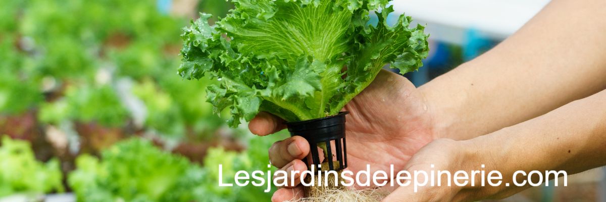lesjardinsdelepinerie.com lesjardinsdelepinerie.com